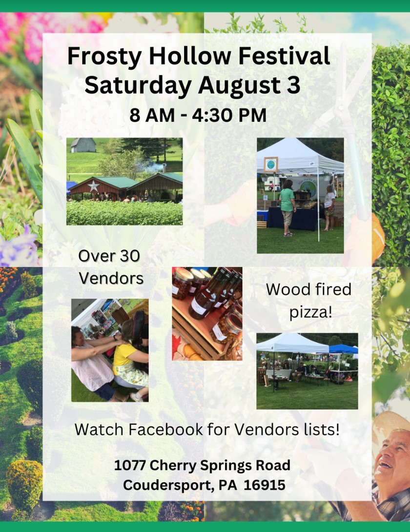 Frosty Hollow Festival August 3rd Solomon's Words for the Wise