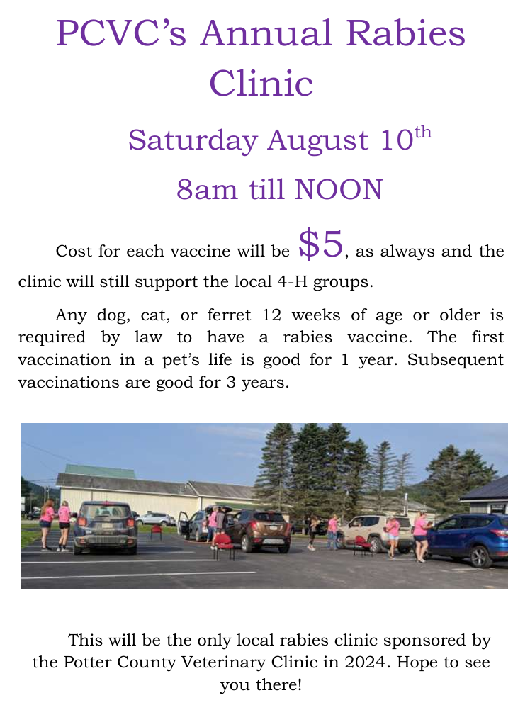 Potter County Annual 5. Rabies Clinic Set For August 10th Solomon's