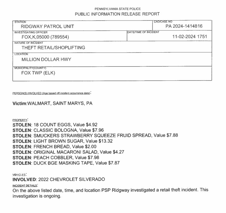 Retail Theft Investigation In Fox Twp. – Solomon's Words for the Wise