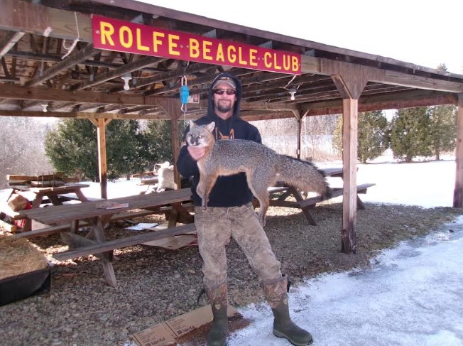 Bizzak Brings First Predator to Rolfe Beagle Club’s Statewide Coyote ...